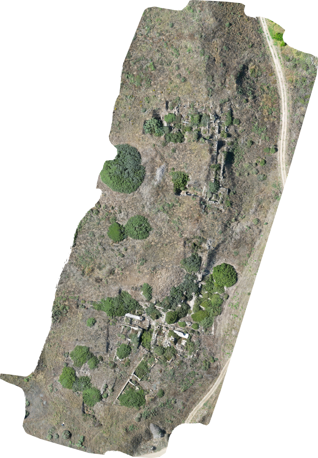 Drone Orthophoto of east side of Tel Dor 