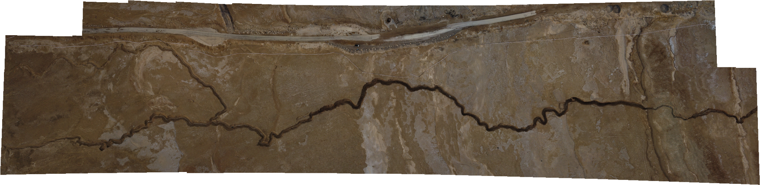 Orthophoto En Gedi Trench 