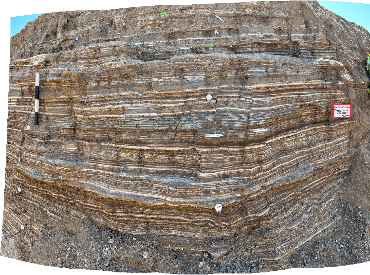 Panorama of Bottom of West Section of En Gedi Trench 2023 