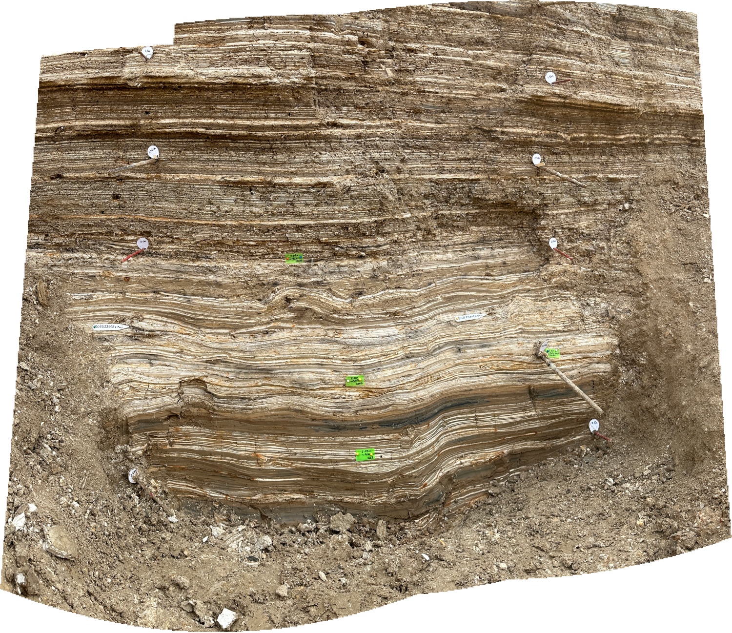 Panorama of Bottom of Middle Section of En Gedi Trench 2023 