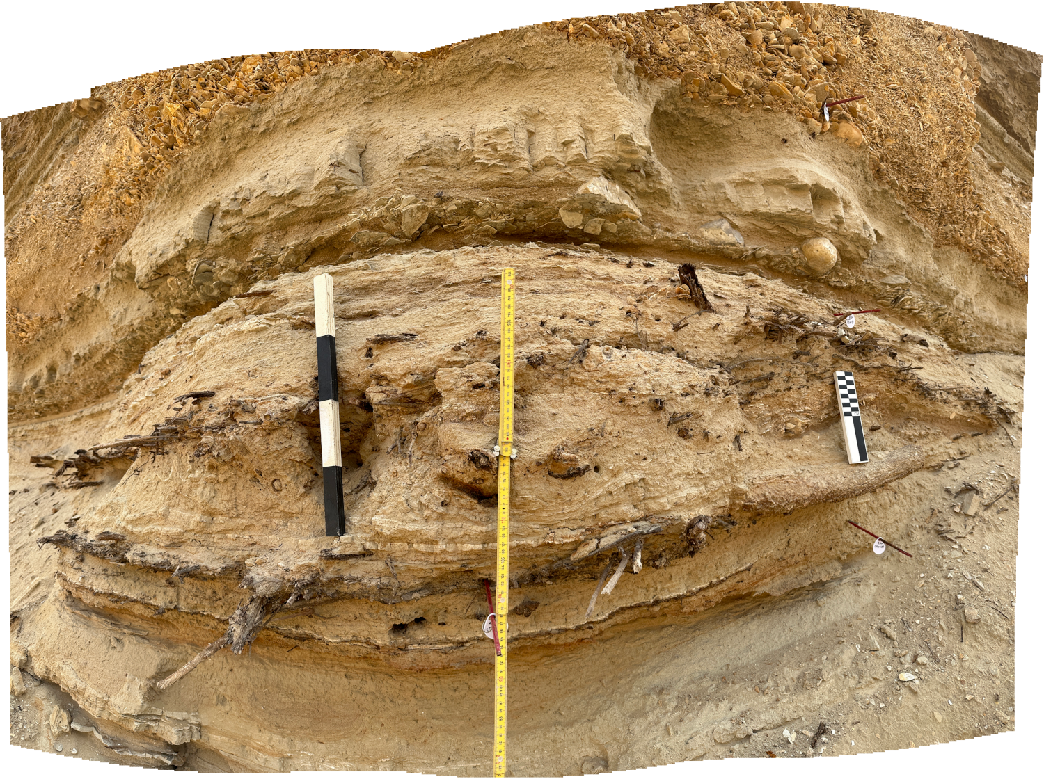 Eastern Section at ZA-4 below Beach Ridge