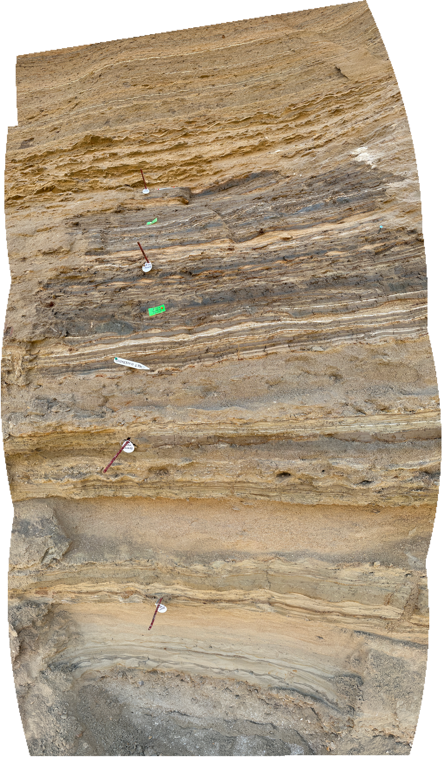 Eastern Section at ZA-4 above Beach Ridge